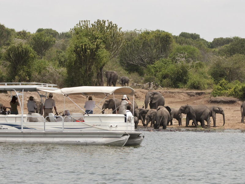 Boat Cruise Service