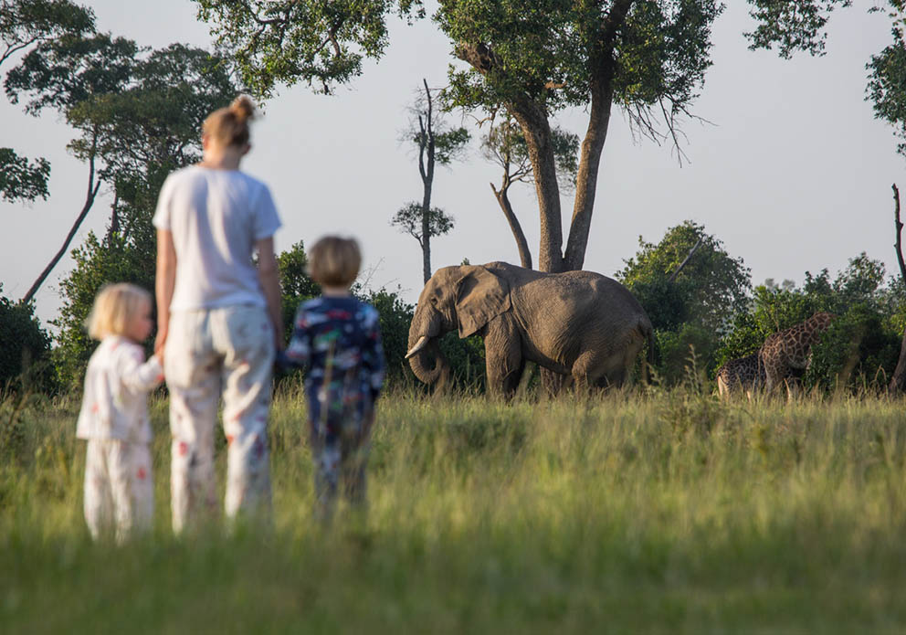 Tanzania National Parks